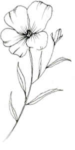 Fleur de lin contour noir - Un Amour de Lin ®